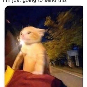 Meet your Posher, Joseph